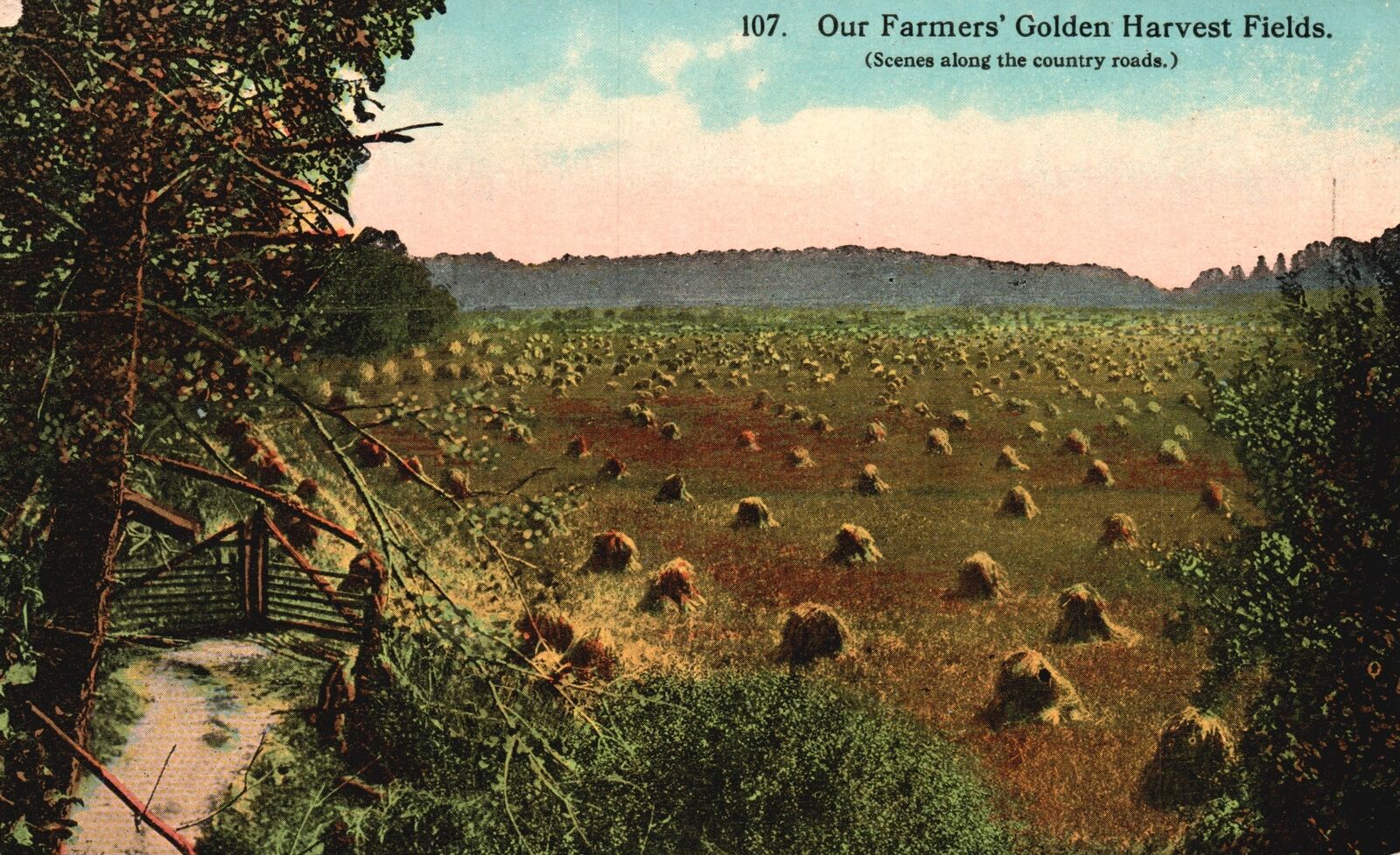 Vintage Postcard 1913 Our Farmers\' Golden Harvest Fields Along Country Roads