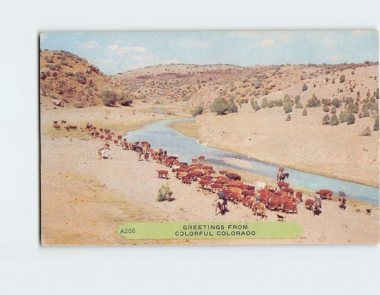 Postcard Greetings from Colorful Colorado USA
