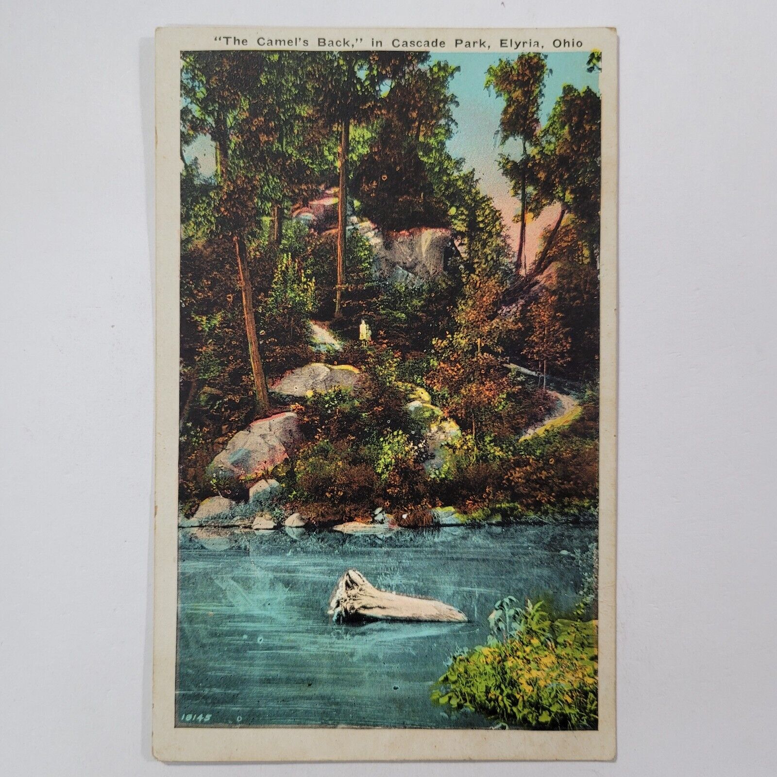 Camel Back At Cascade Park Elyria Ohio Color Lithograph Postcard Posted Divided