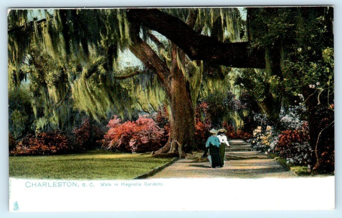 CHARLESTON, South Carolina SC ~ Walk in MAGNOLIA GARDENS c1900s Tuck Postcard