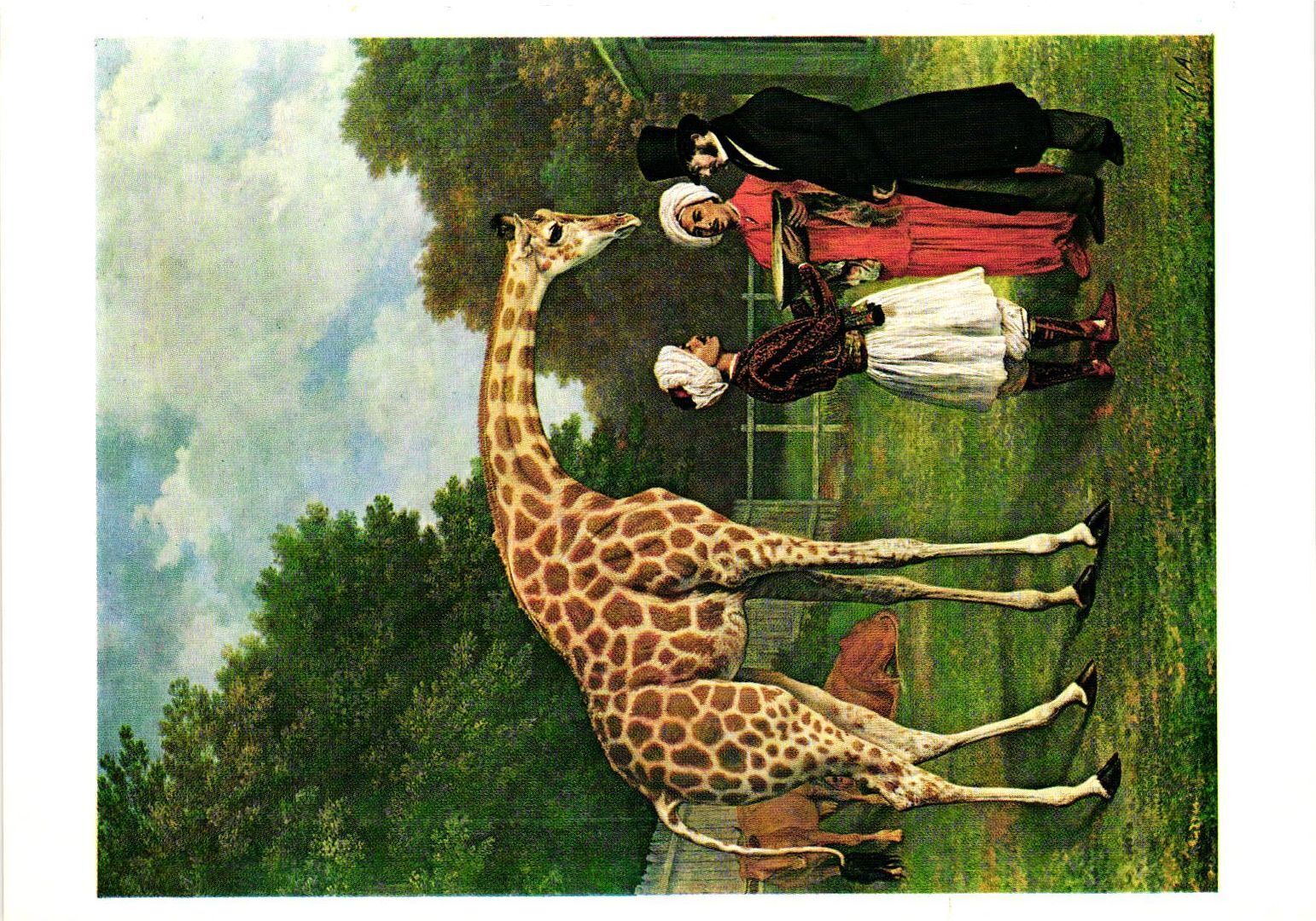 Vintage Postcard 4x6- THE NUBIAN GIRAFFE BY JAQUES-LAURENT AGASSE, BUCKINGHAM PA