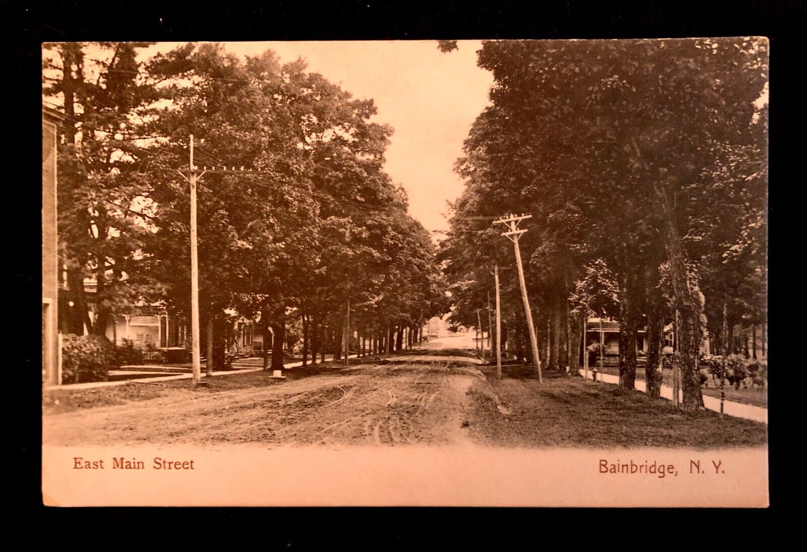 c1900 Tree Lined East Main St. Bainbridge NY Electric Poles Vint BW Post Card CF