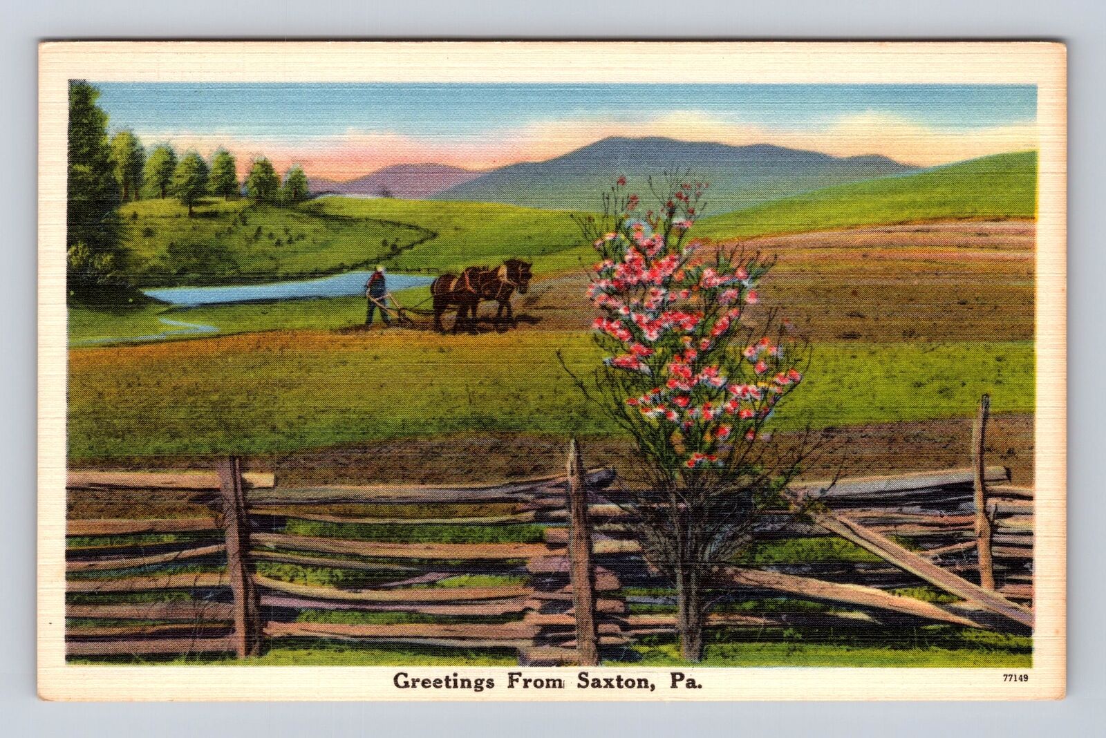 Saxton PA-Pennsylvania, Scenic Greetings, Farming, Antique Vintage Postcard