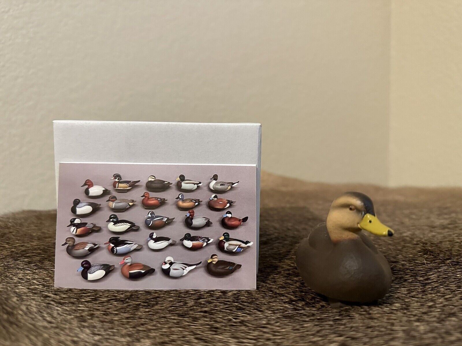 Jett Brunet Ducks unlimited miniature Mottled Duck 2023 #24