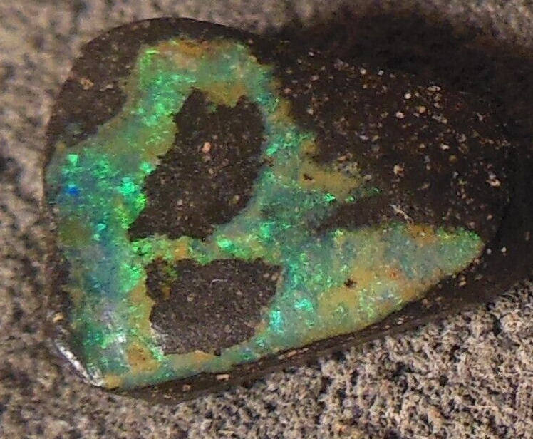 Australian Boulder Opal, 3.40ct, green sparkly color, Freeform shape (Video)