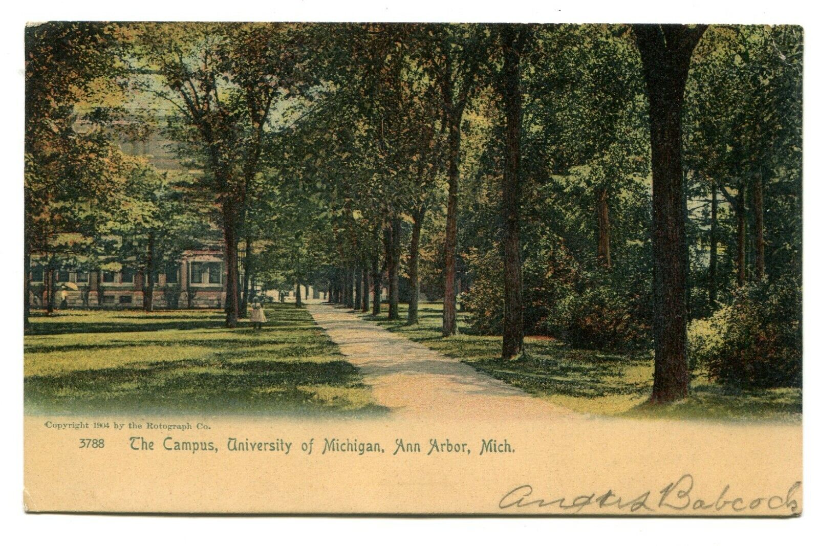 Ann Arbor, MI. The Campus, Univ. of Michigan, pre-1907. Nice Rotograph card.