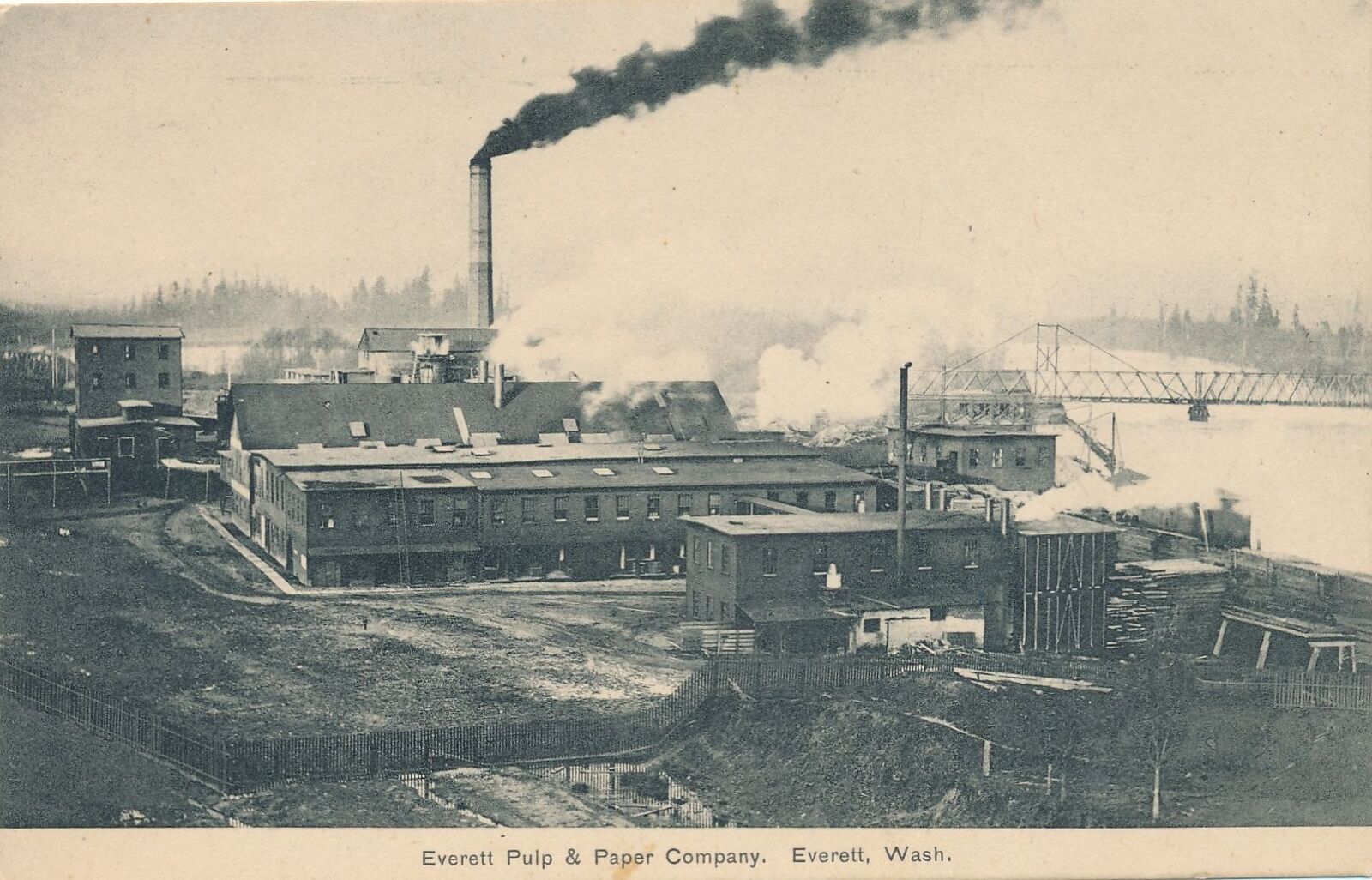 EVERETT WA - Everett Pulp and Paper Company Postcard