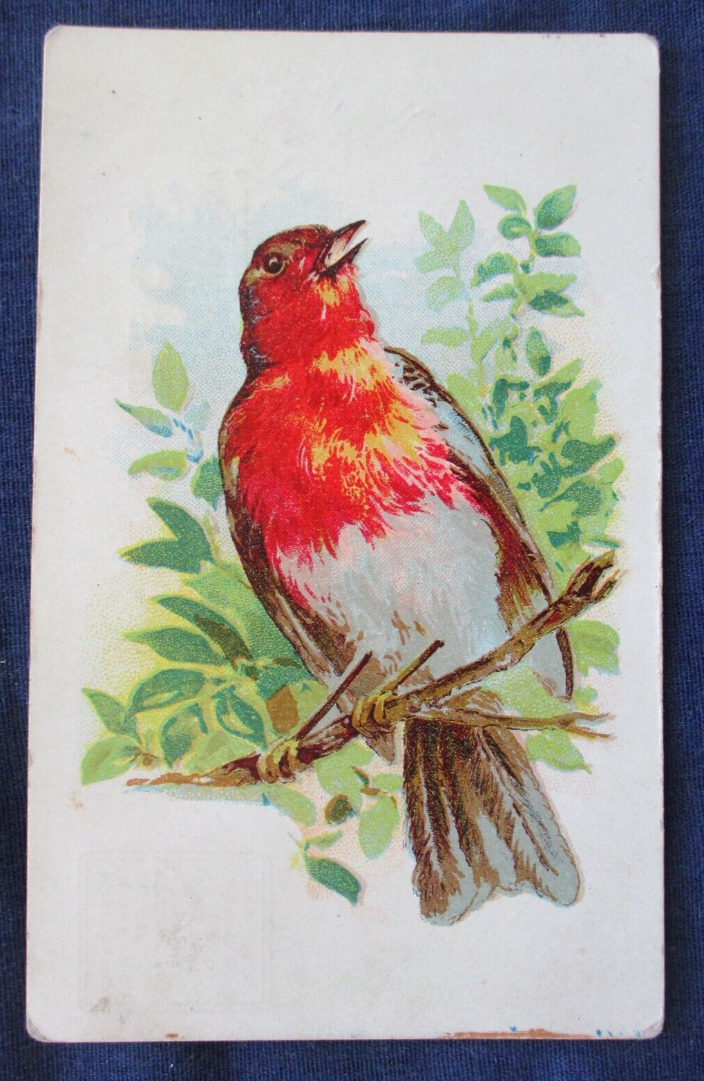 ca1900 Bird Greeting Postcard Used 1908 Adin California Doane Cancel
