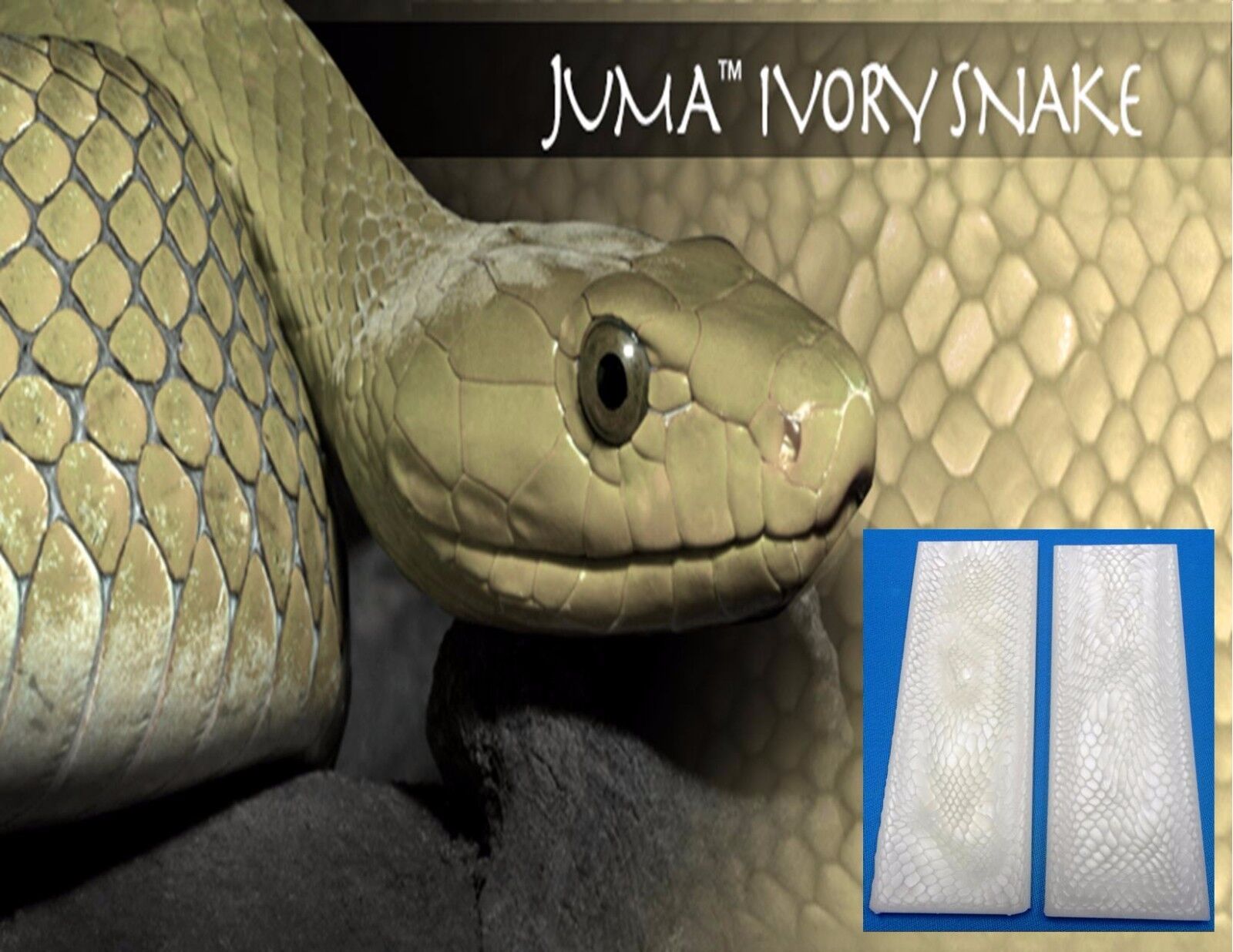 2 Ivory Snake Juma .250\