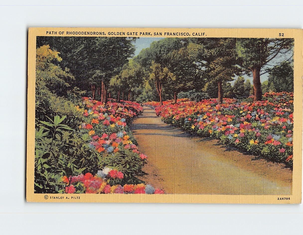 Postcard Path of Rhododendrons Golden Gate Park San Francisco California USA