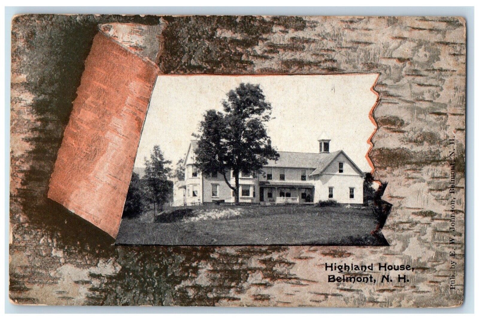 1915 Highland House Belmont New Hampshire NH Ripped Tree Bark Postcard