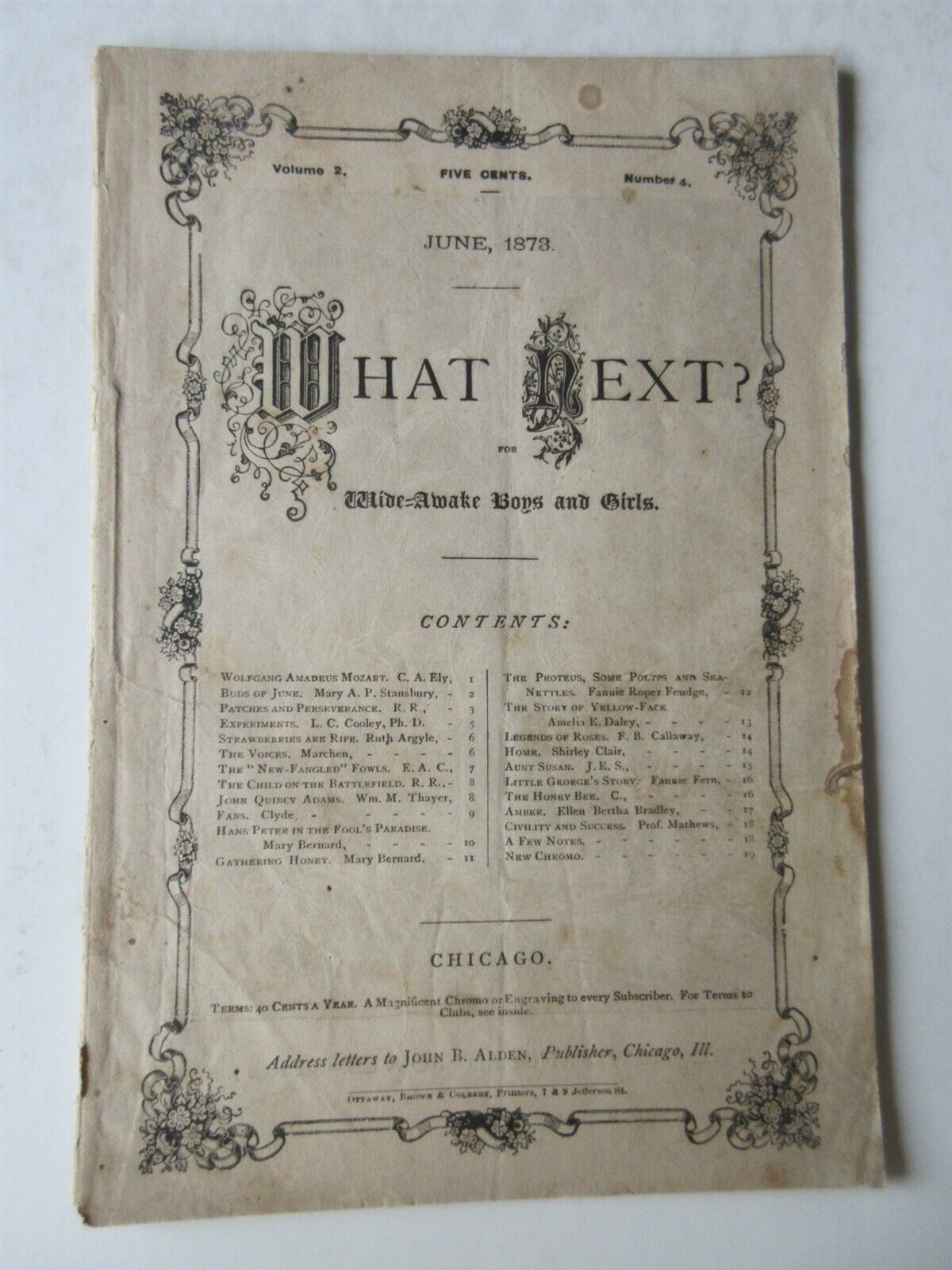 What Next? for Wide Awake Boys & Girls booklet June 1873 booklet