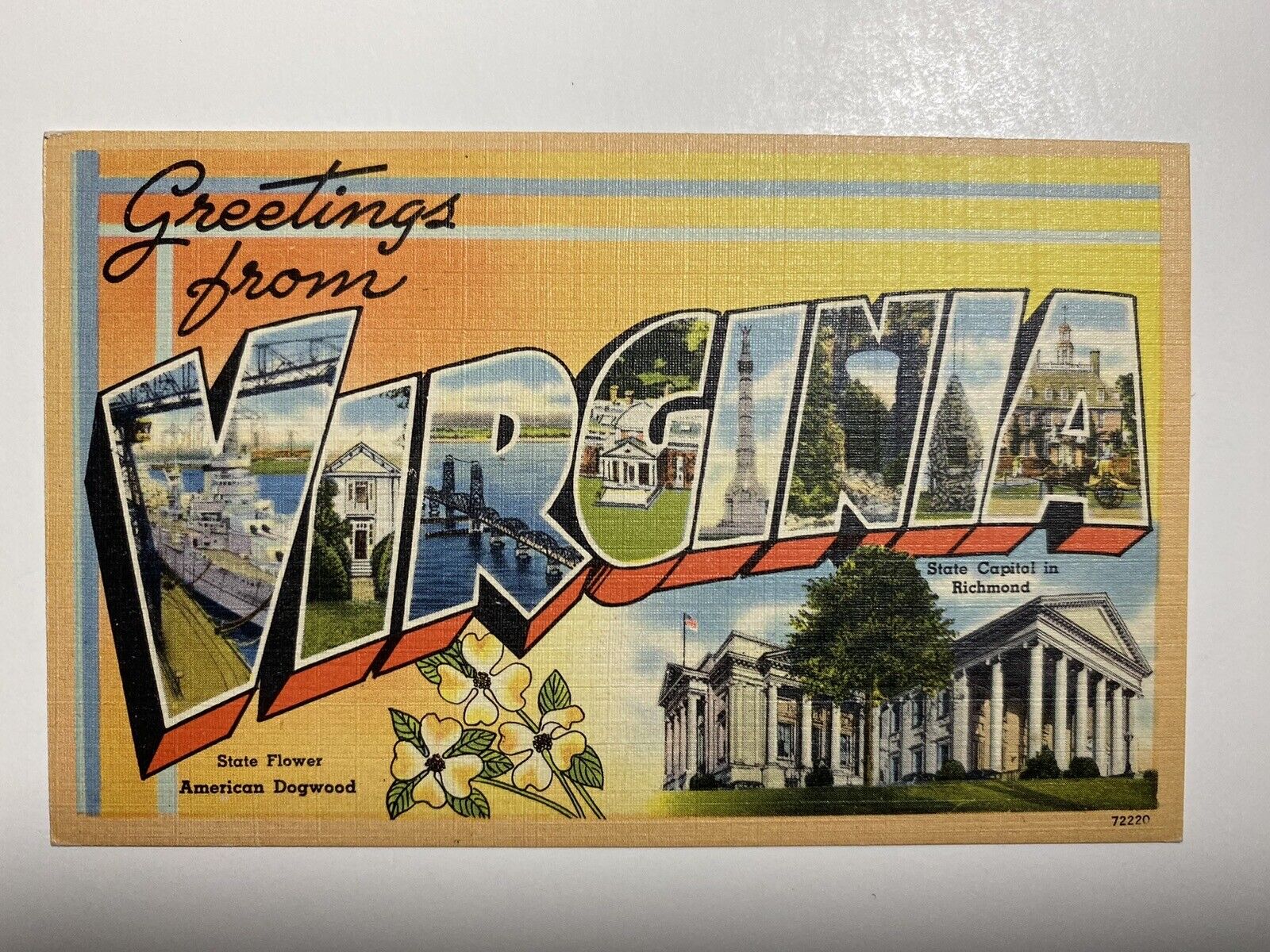 Greetings From Virginia State Flower American Dogwood  Postcard