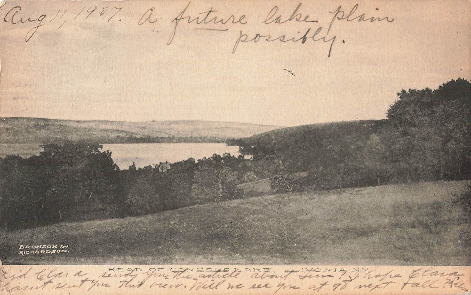 Vintage Postcard Scenic View, Head of Conesus Lake, Livonia, New York 1907