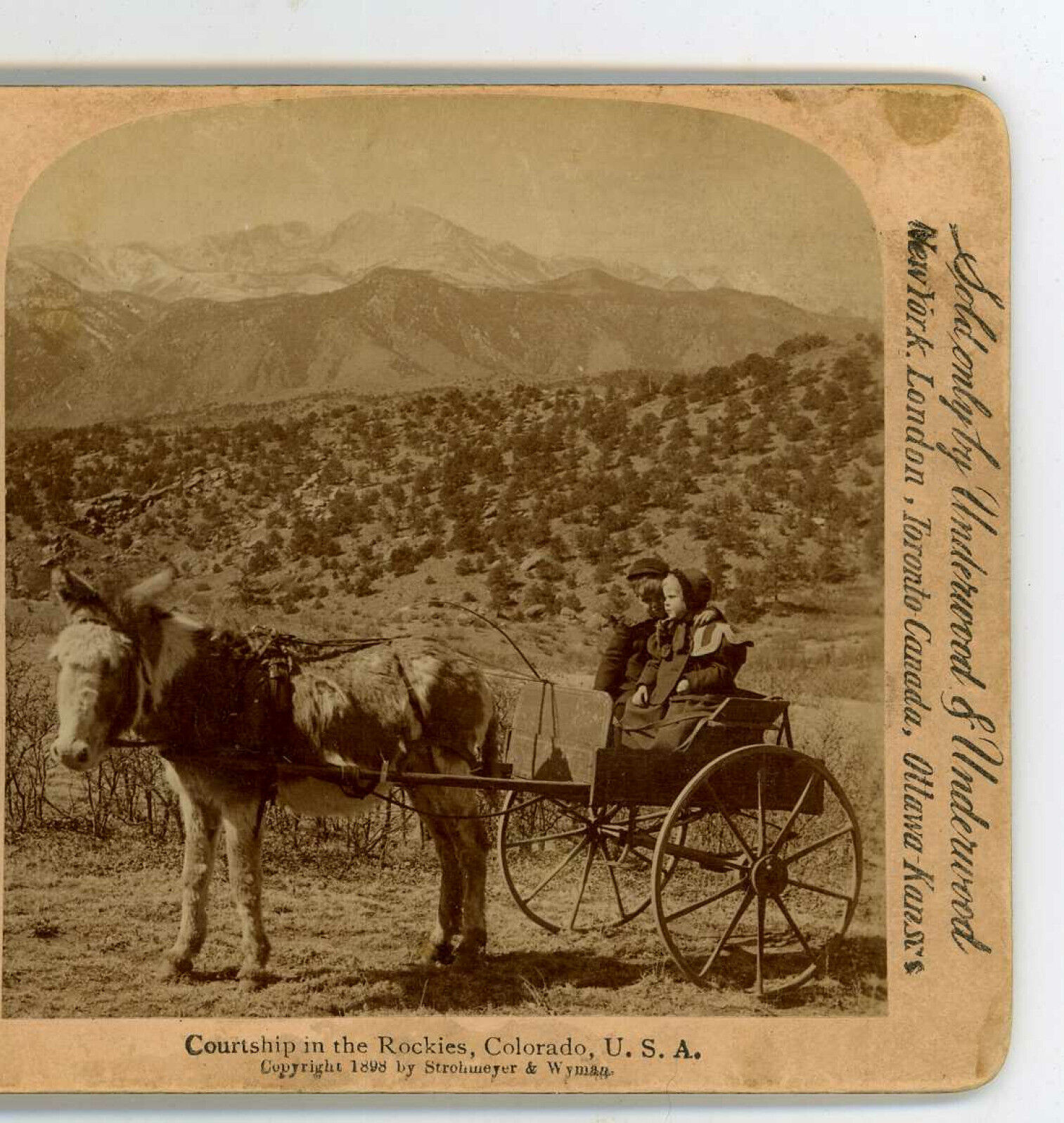 Very Young Couple Mule Cart in the Rockies CO Underwood Stereoview 1898