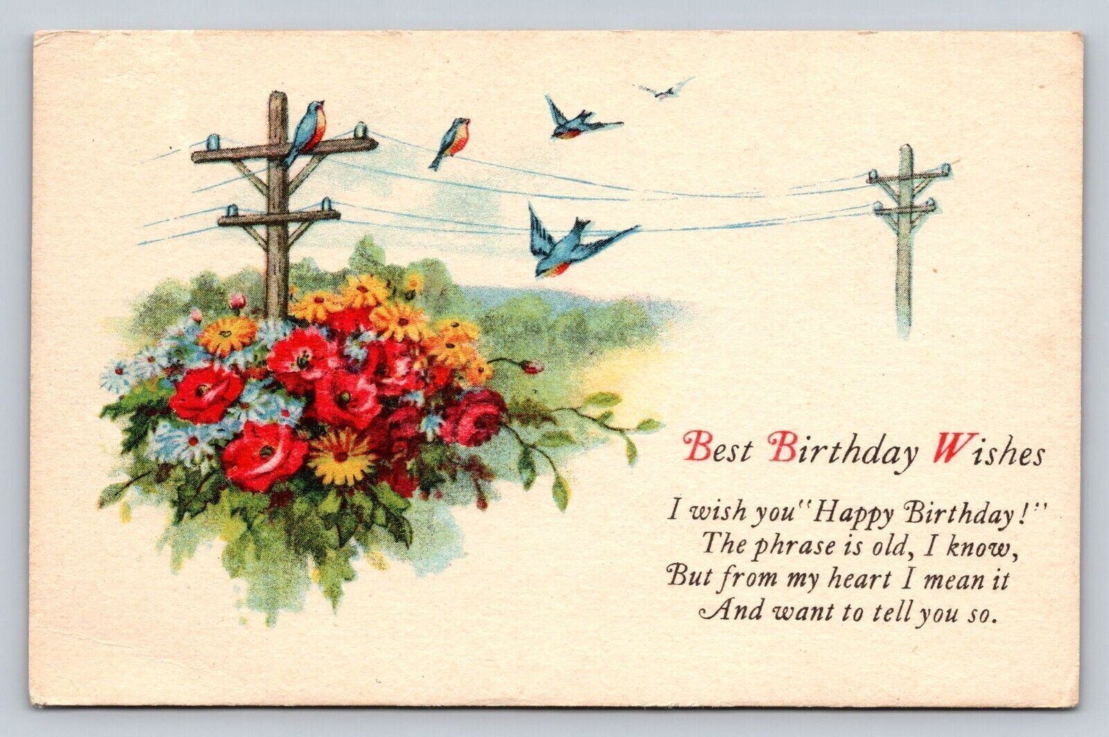 Early 1900s Birthday Wishes PC Blue Birds Telephone Wire Floral Bouquet Flowers