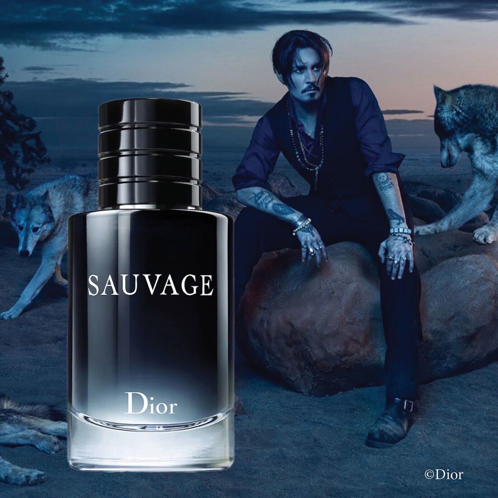 Sauvage Dior for men 3.4 Eau De Toilette Refillable Bottle Spray