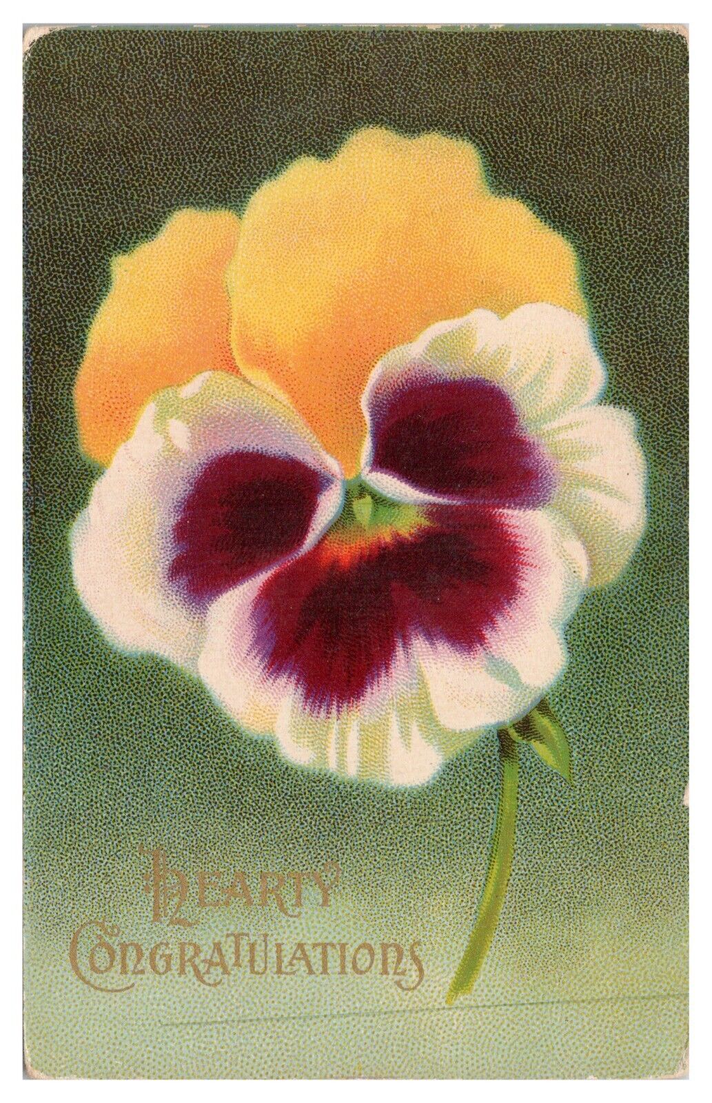 Vintage Early 1900\'s Hearty Congratulations Flower Postcard Unposted