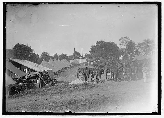 Cavalry camp,Winchester,Virginia,VA,United States Army,Military,1913,4