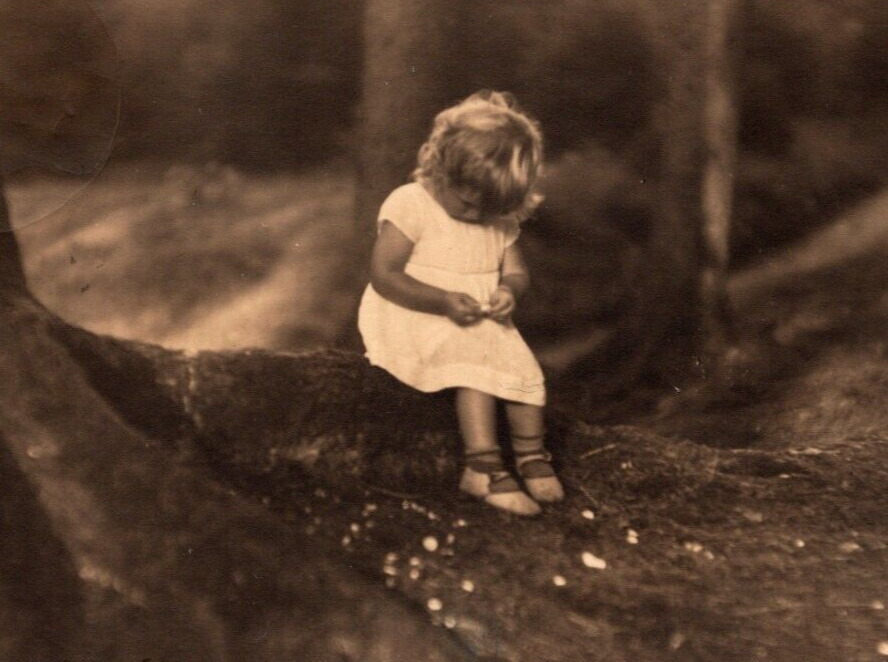 c1933 Adorable Young Girl Sits At Bottom of Tree Looking Down VTG Postcard