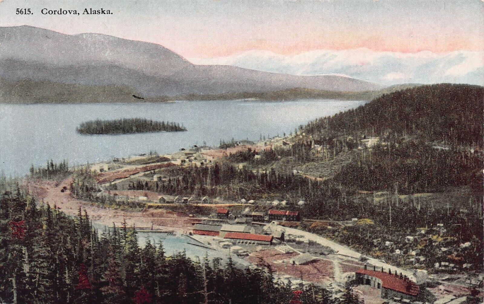 Cordova, Alaska, early postcard, unused