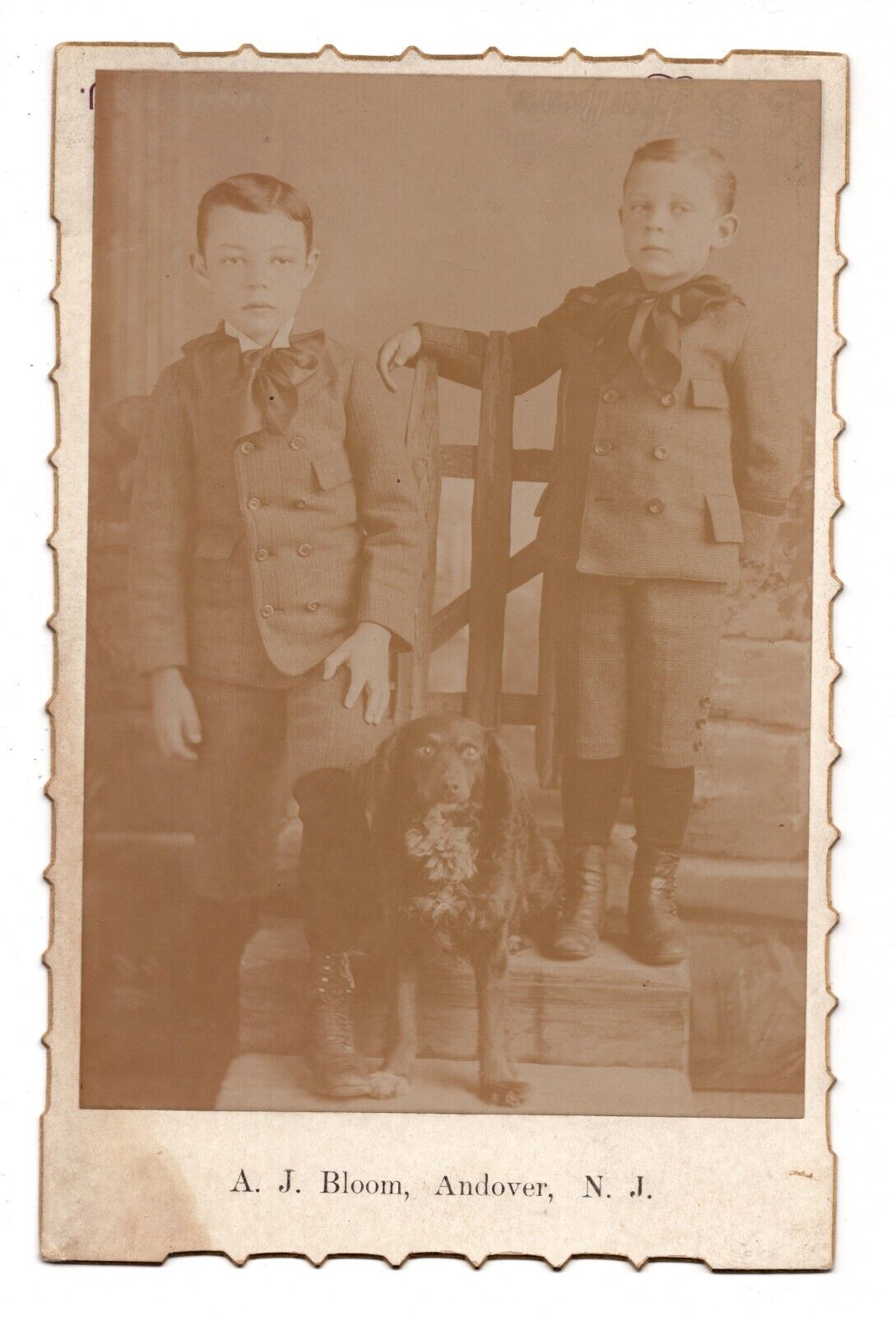 C. 1890s CABINET CARD A.J. BLOOM TWO YOUNG CHILDREN WITH DOG ANDOVER NEW JERSEY