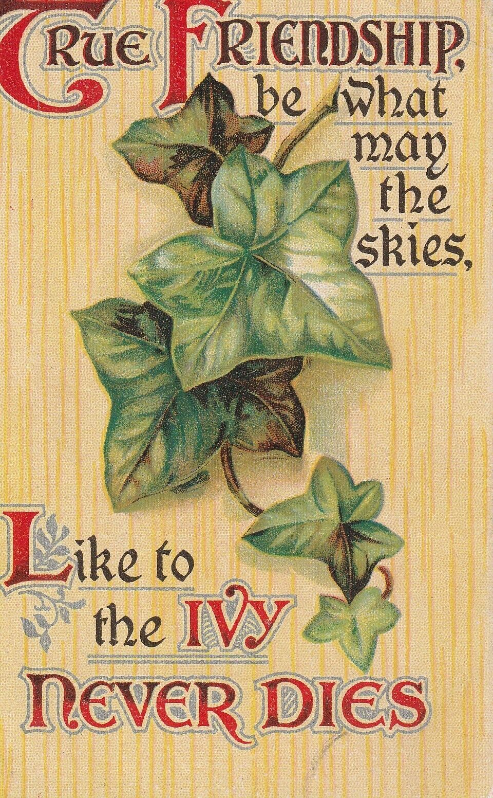 Vintage postcard true Vintage postc what it may skies,Like to the ivy never Dies