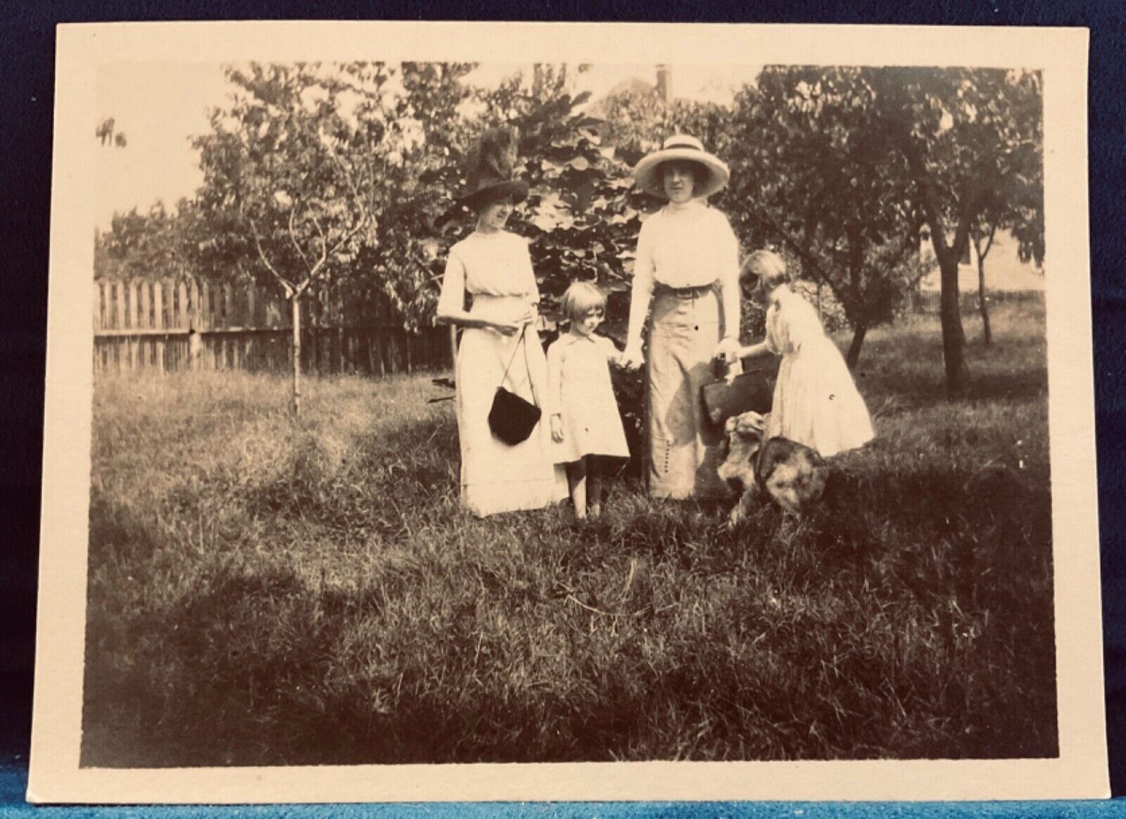 Antique Actual Family Photograph 2 Ladies 2 Children 1 Dog Late 1800 Early 1900