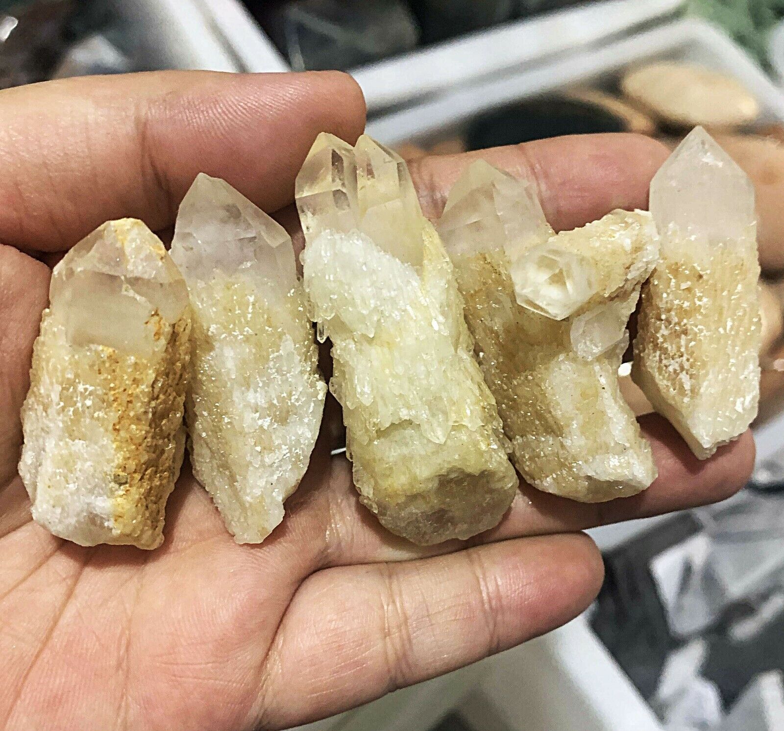 100g ( 6-8 Pcs ) Natural Tibetan Elestial skeletal Quartz Crystal Point specimen