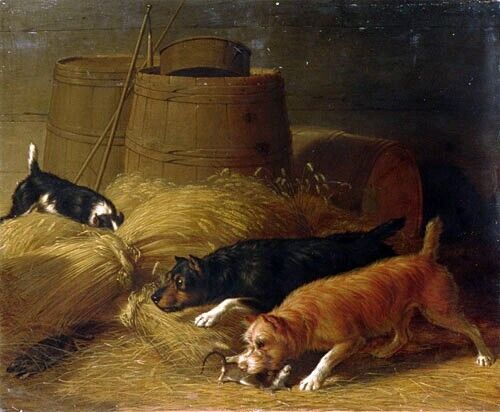 Oil painting Rats-amongst-the-Barley-Sheaves-1851-Thomas-Hewes-Hinckley-Oil-Pain