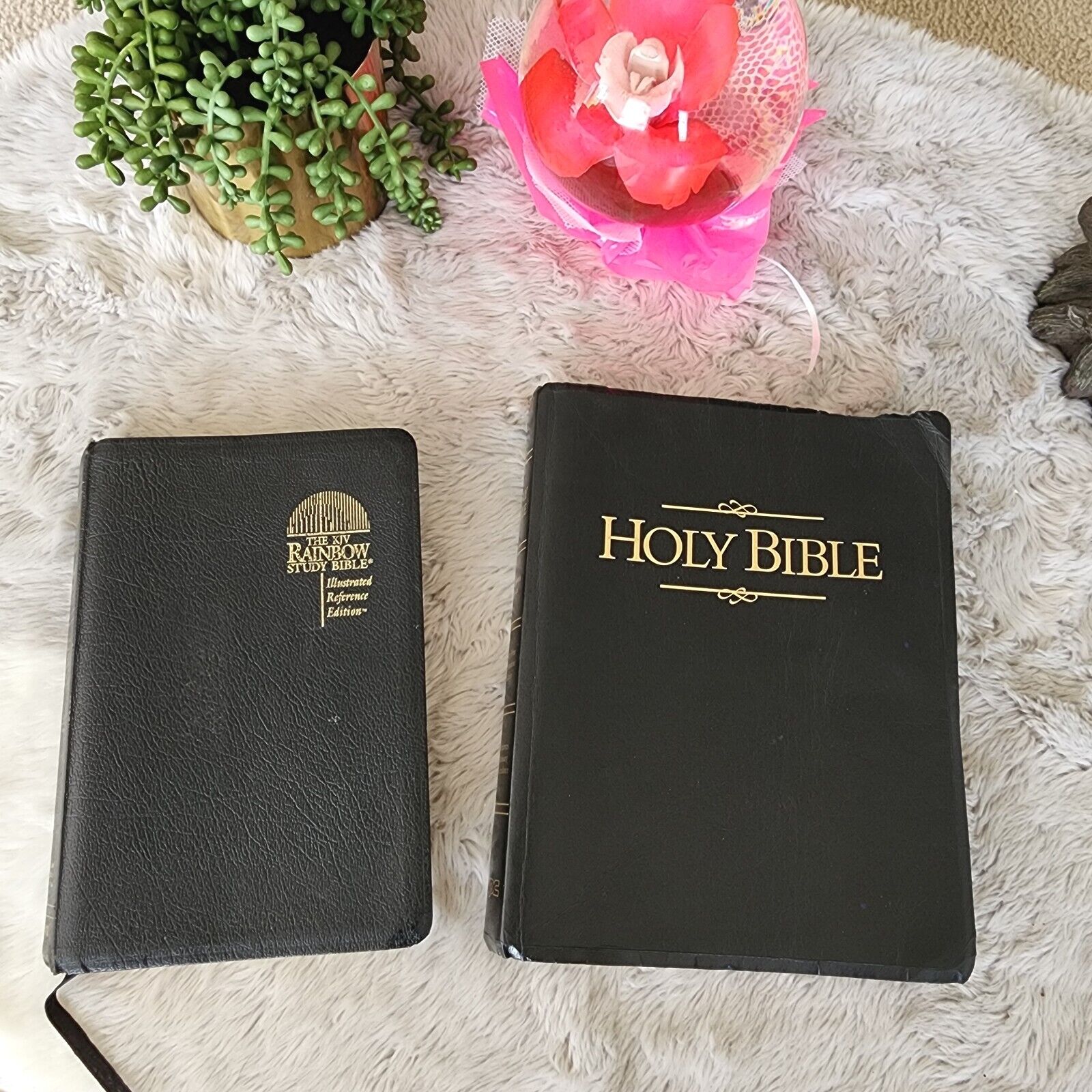 Lot Of 2 Bibles - Giant Print Presentation Edition & Rainbow The KJV Study Bible