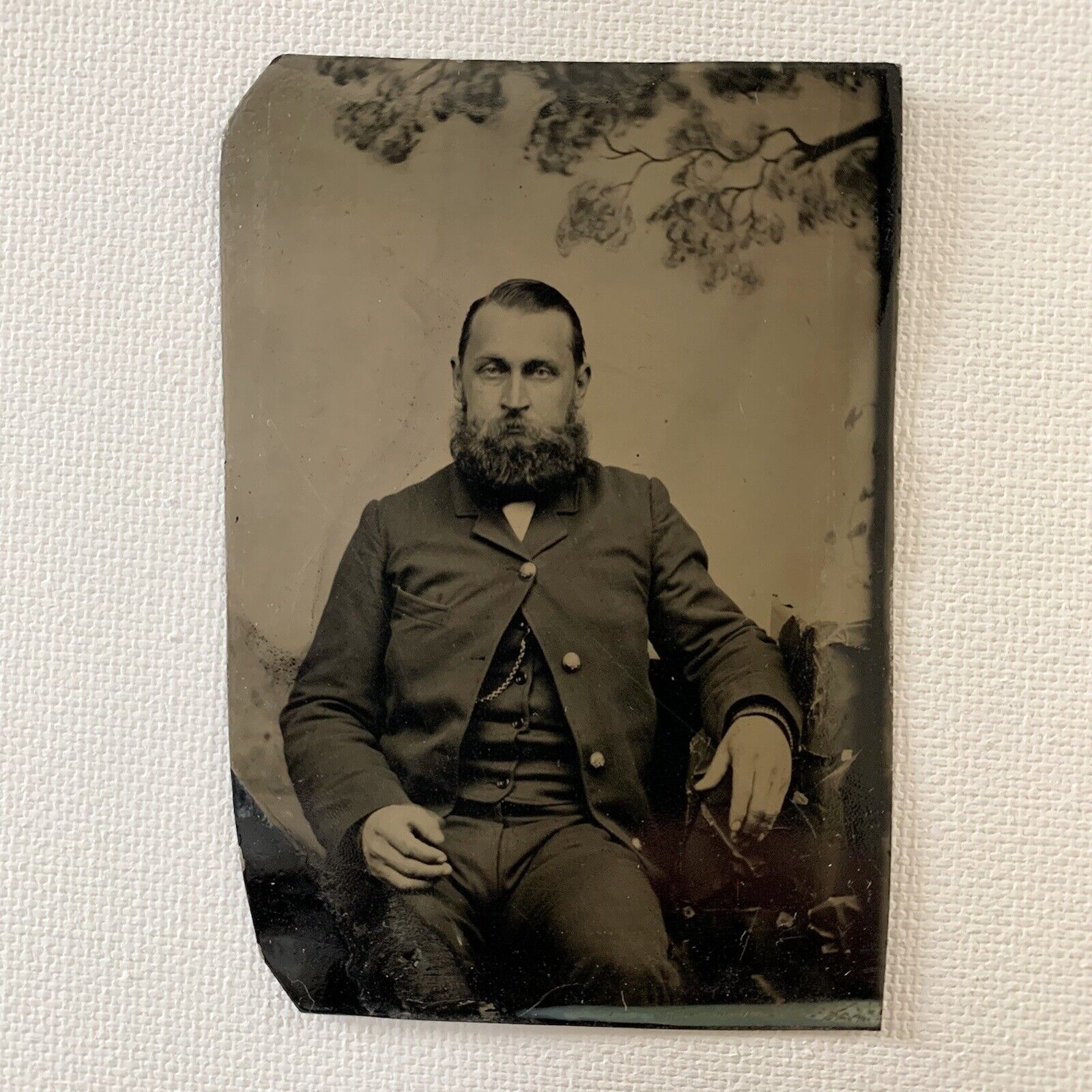 Antique Tintype Photograph Handsome Man Thick Beard Cold Stare Tree NY