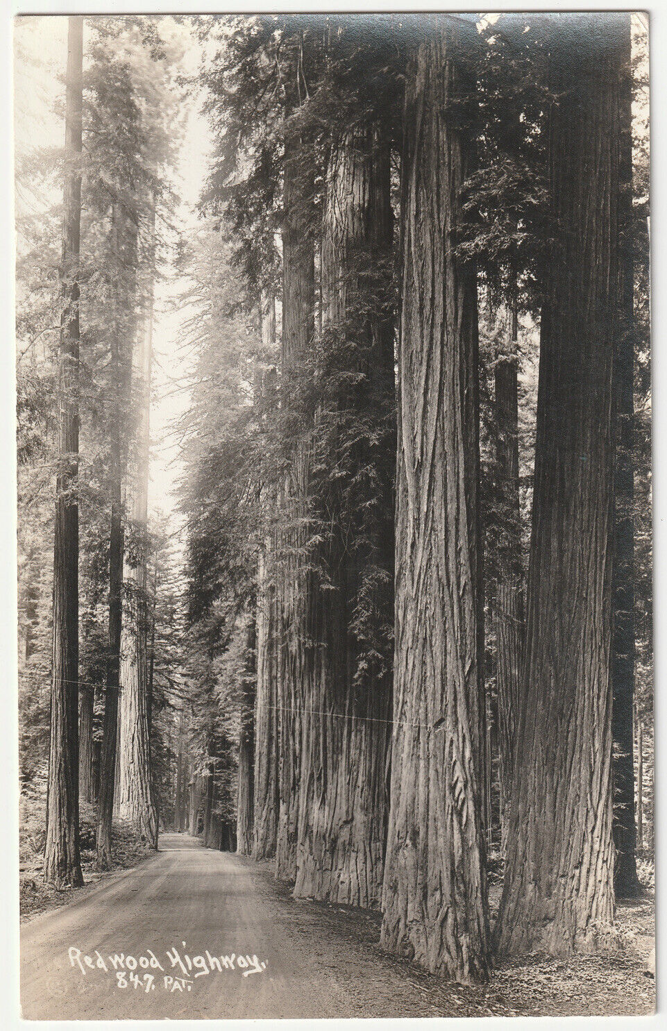 1900s B&W Real Photo Redwood Highway 101 California VTG CA RPPC Postcard