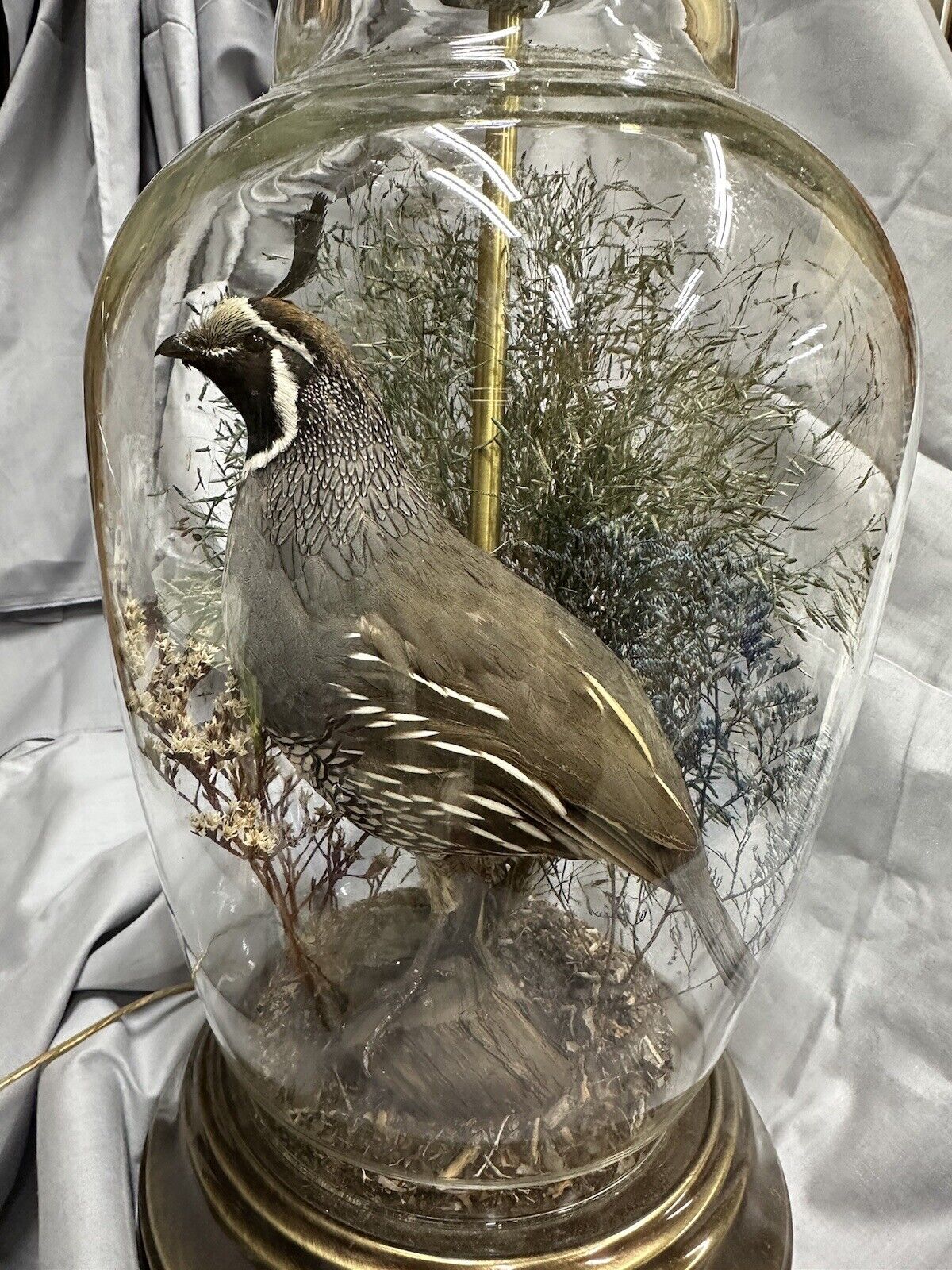 Vtg Mid Century Glass Lamp Quail Taxidermy Bird Mountain Cabin Decor-no shade