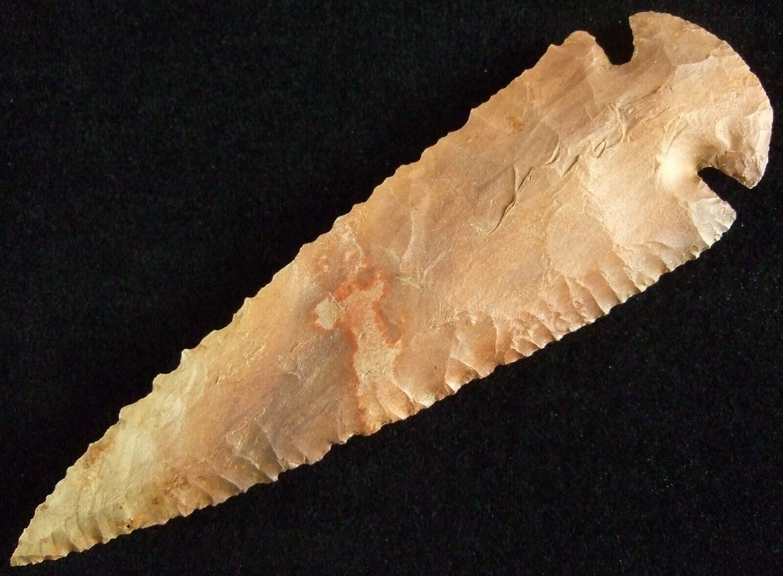 Exceptionally Fine 4 3/8 inch Tennessee Dovetail Point with T&T COA Arrowheads