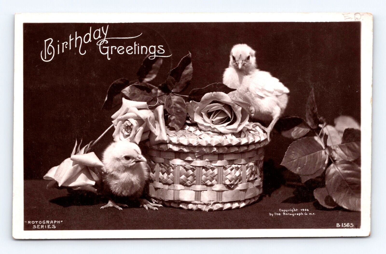 Postcard RPPC Photo Birthday Chic\'s Rotograph Bromide Johnson NE Cancel 1908