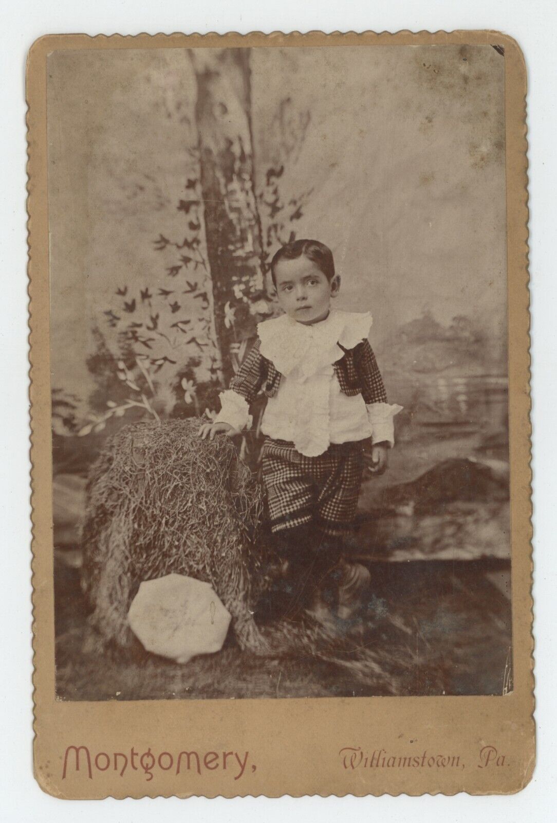 Antique Circa 1880s Cabinet Card Incredibly Adorable Boy Suit Williamstown, PA
