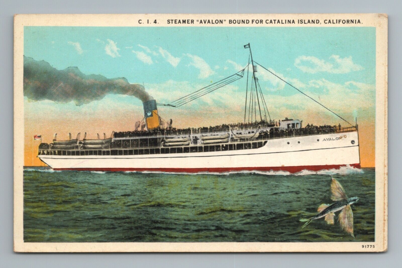 Avalon Catalina Island Flyfish Steamboat Passenger Steamer Ship Vintage Postcard