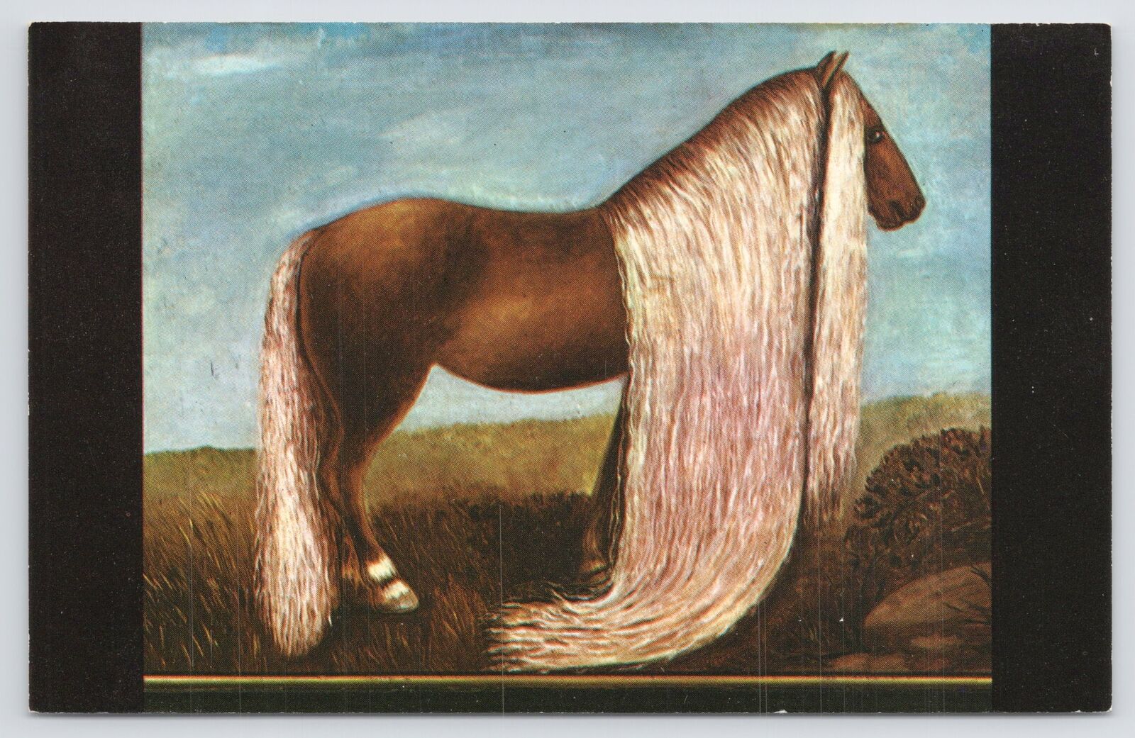 Horse With The Longest Mane & Tail In World~Oil Painting By Dr Dorr~Vintage PC
