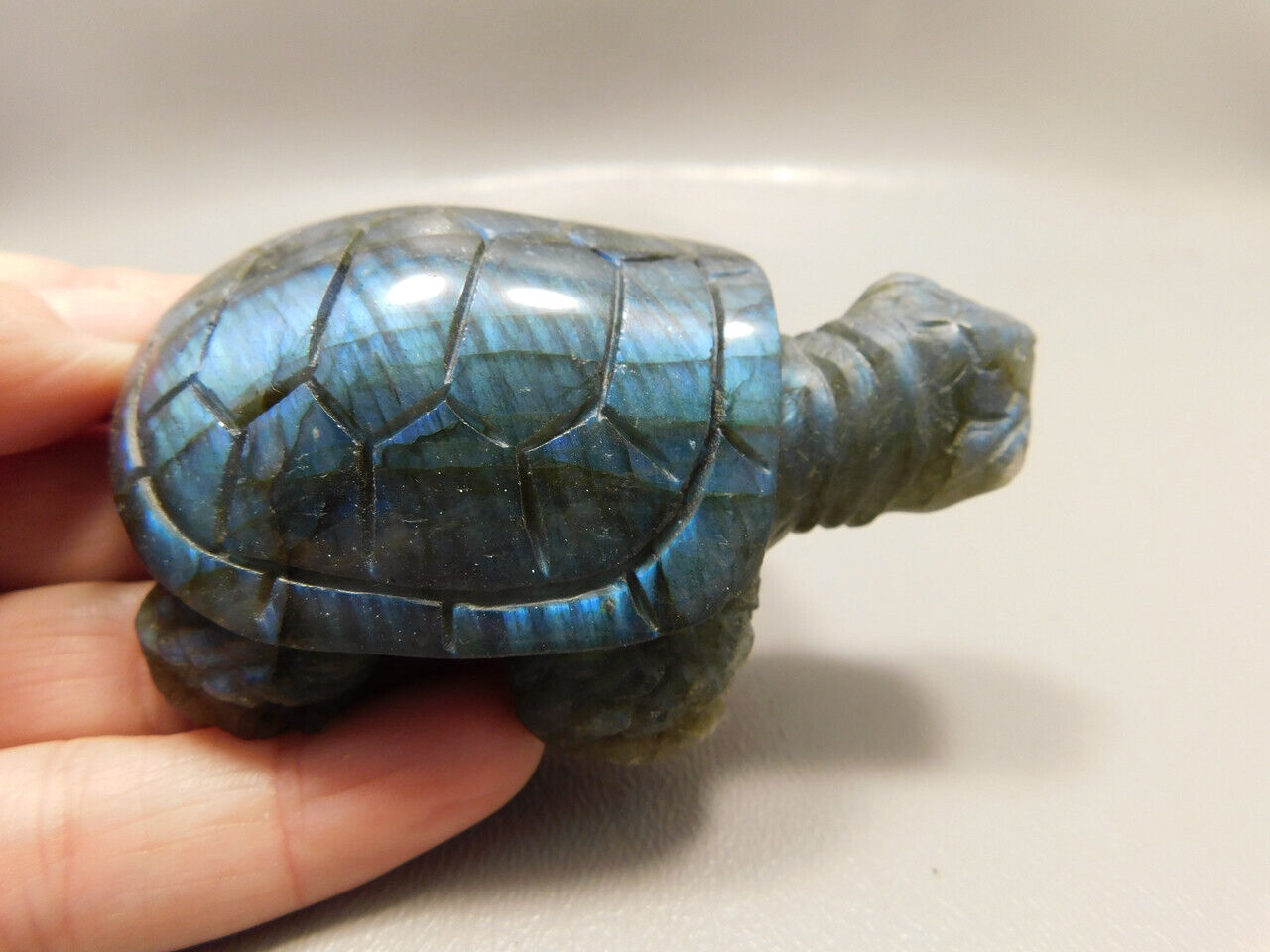 Turtle Figurine Labradorite Carved 3.25 inch Gemstone Carving #O21