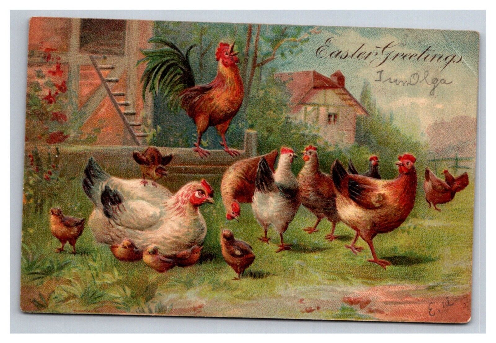 Postcard 1907 Easter Greetings Chickens Chicks Embossed