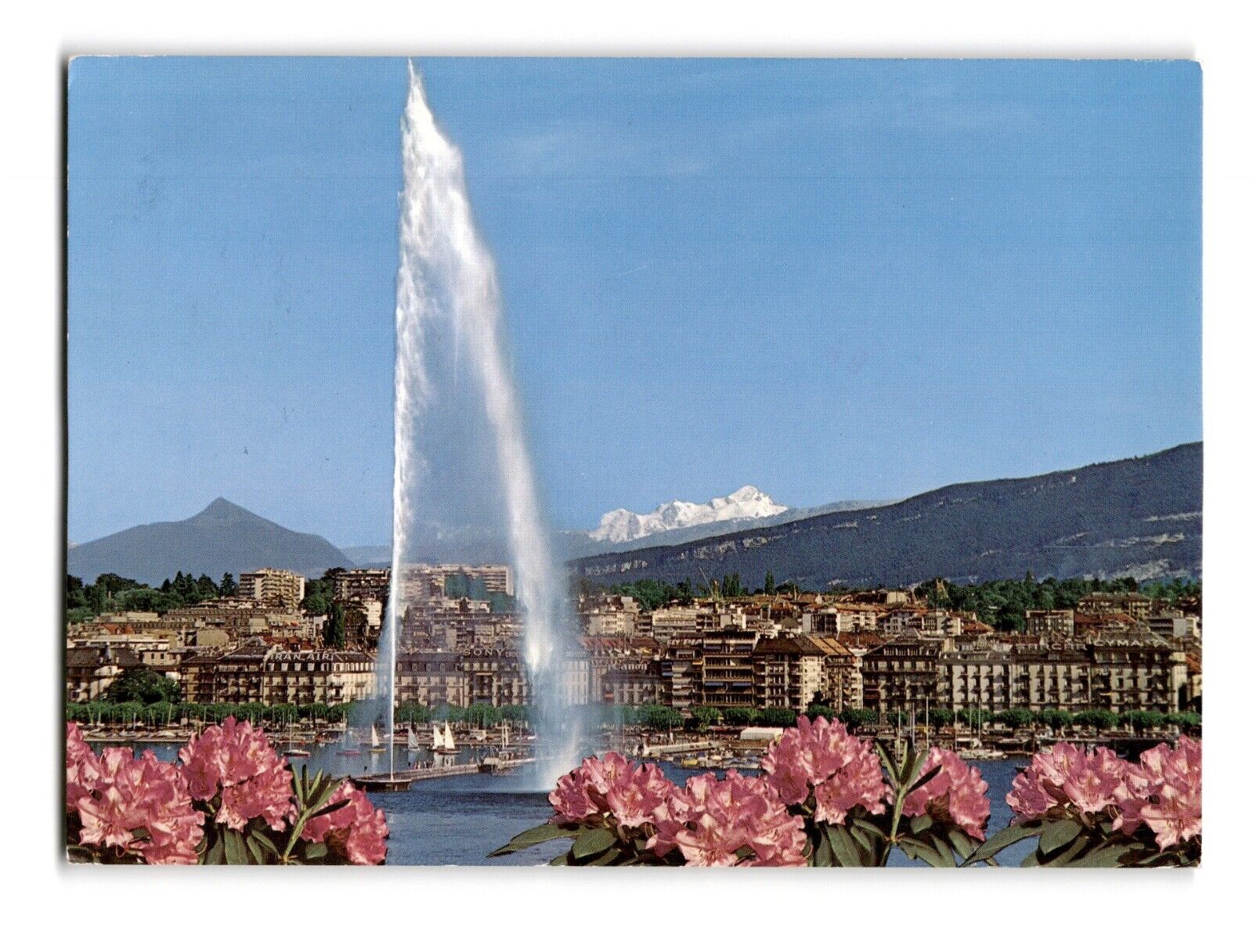 GENEVE - La Rade Vintage Chrome Postcard