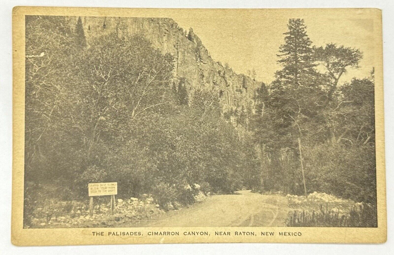 Antique The Palisades Postcard Cimarron Canyon Raton New Mexico 