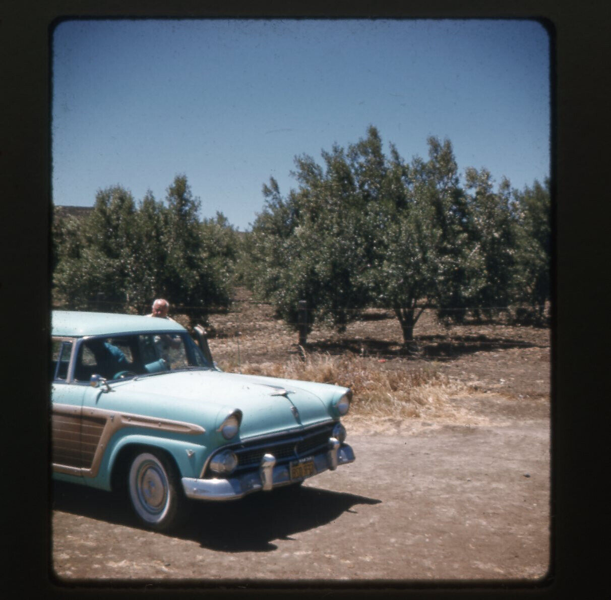 pc01 3D 1950s Stereoview Slide  Farm Ford  woodie wagon 847a