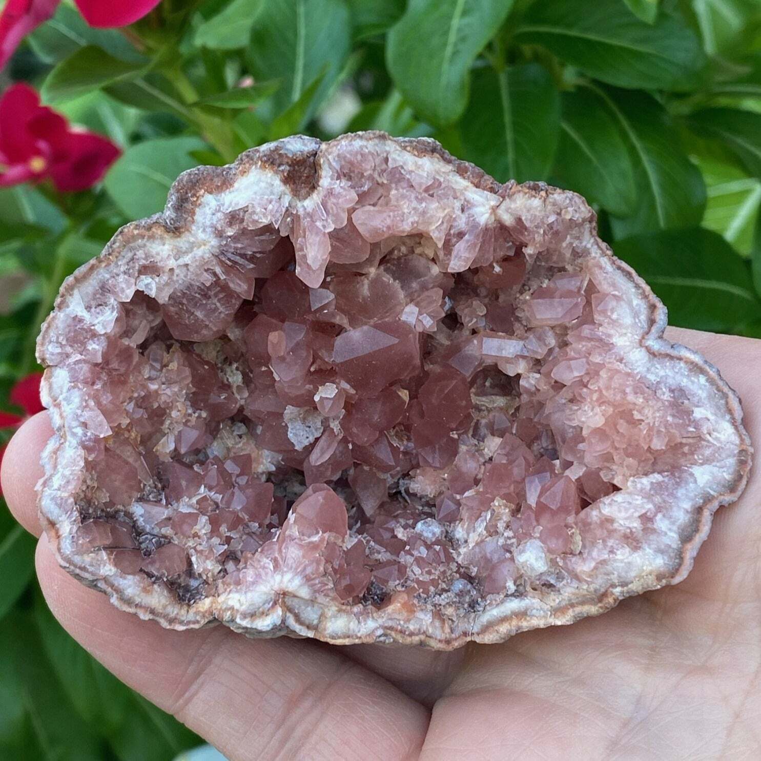 Pink Amethyst Geode Crystals 141grams