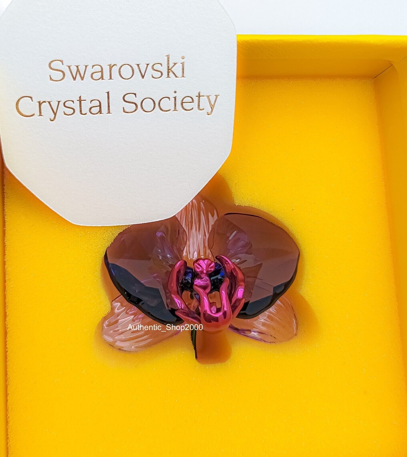 New SWAROVSKI Crystal Limited Idyllia SCS Orchid Petal Display Deco 5669354