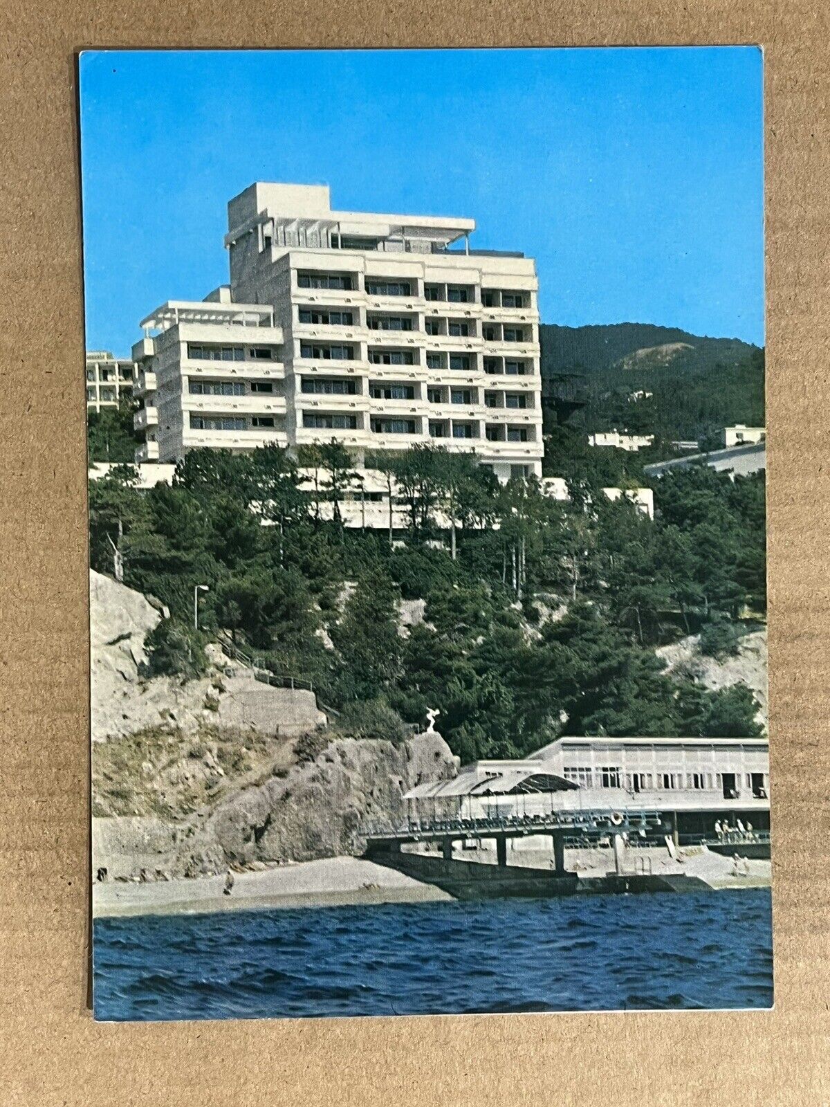 Postcard Crimea Ukraine USSR Russia Coast Pine Grove Sanatorium Vintage PC