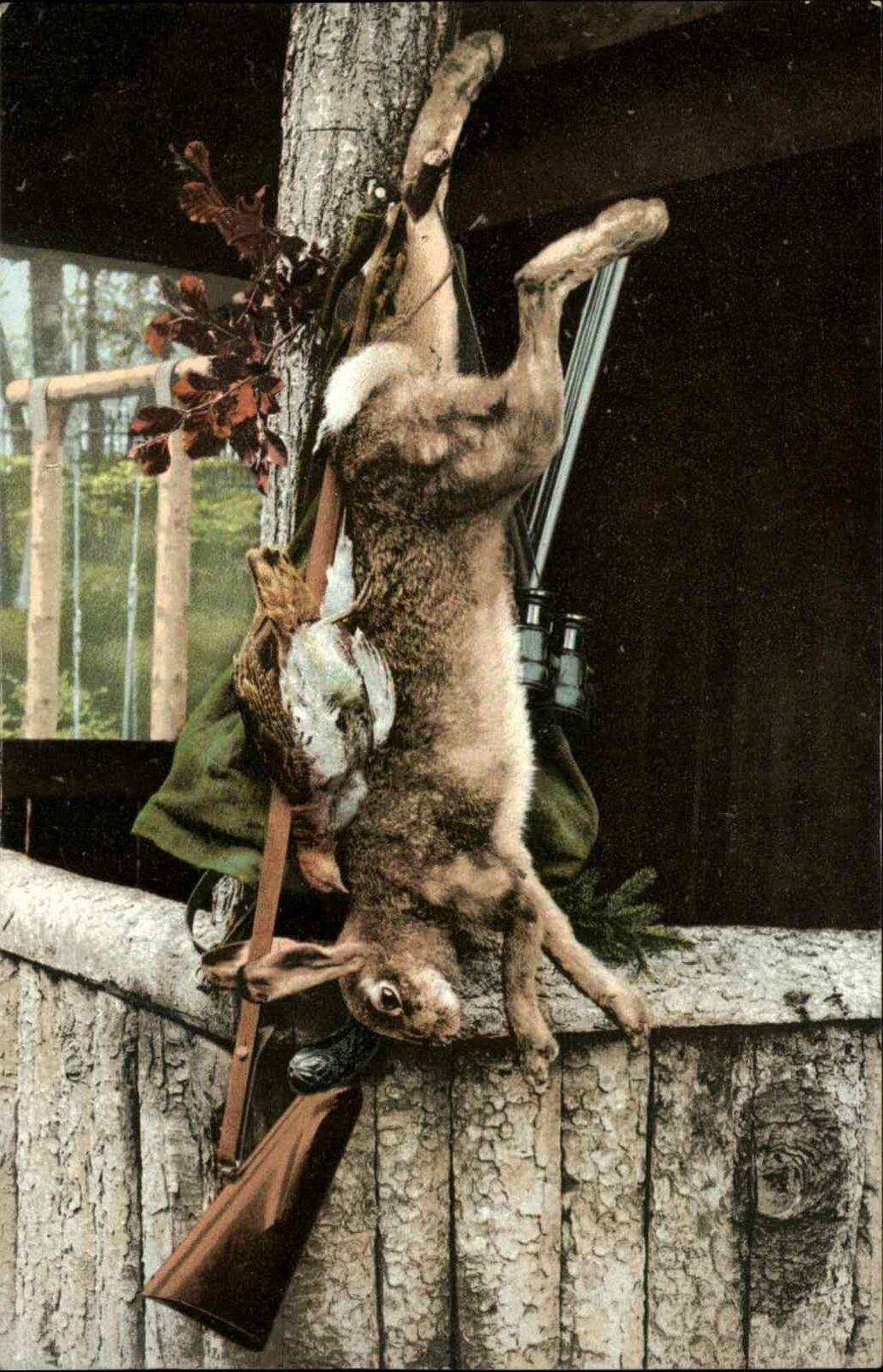 Hunting Gear Dead Rabbit Gun Binoculars c1905 Postcard