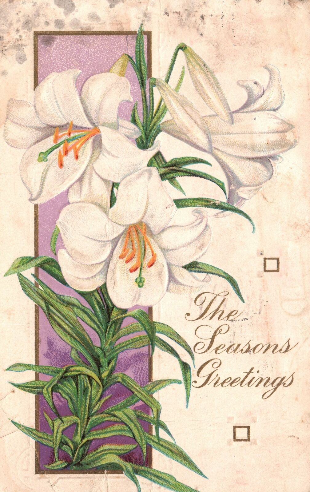 The Season\'s Greetings White Flower Holiday Greetings Vintage Postcard 1924