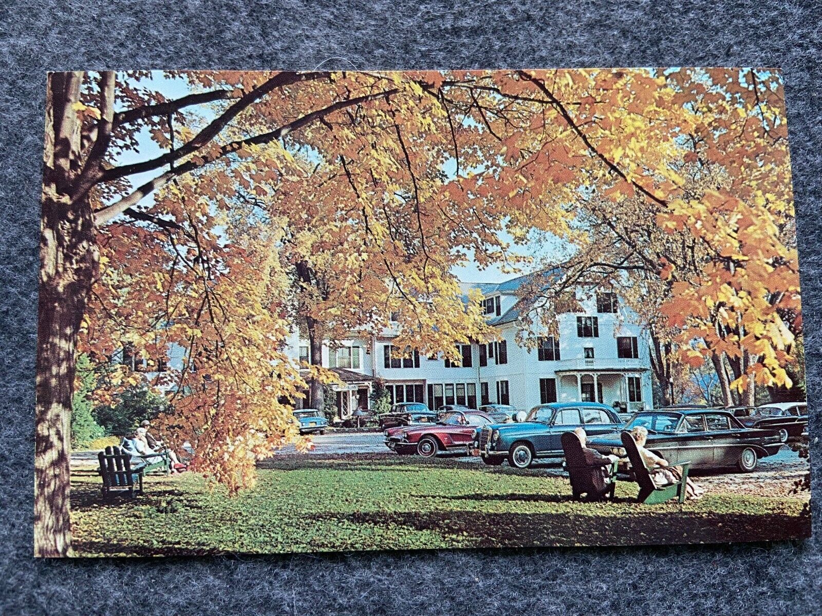 The Williams Inn, Williamstown, Massachusetts Vintage Postcard